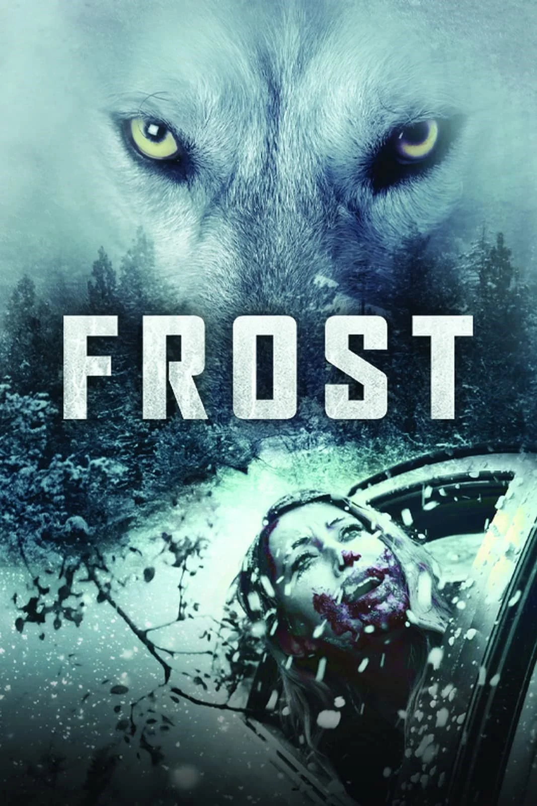 Frost - Frost (2022) Frost - Frost (2022)