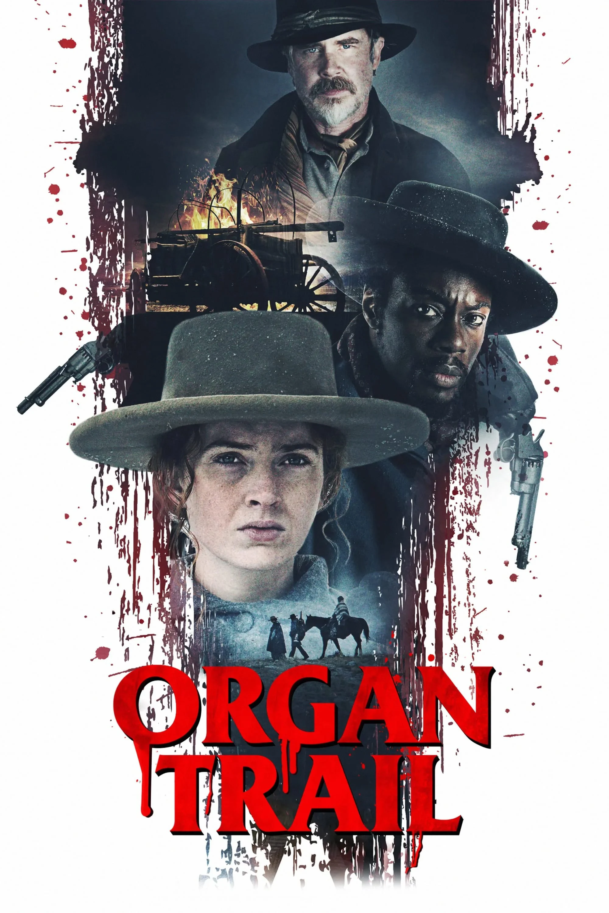 Đường Mòn Organ - Organ Trail (2023) Đường Mòn Organ - Organ Trail (2023)