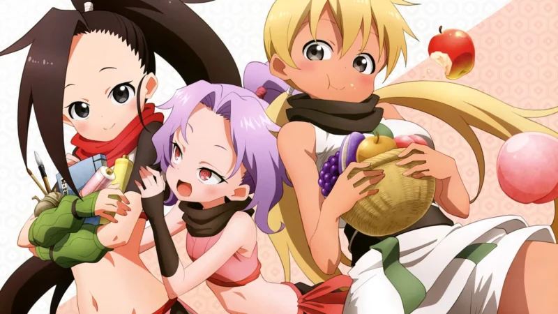 Bên Trong Trái Tim Của Kunoichi Tsubaki - In The Heart Of Kunoichi Tsubaki