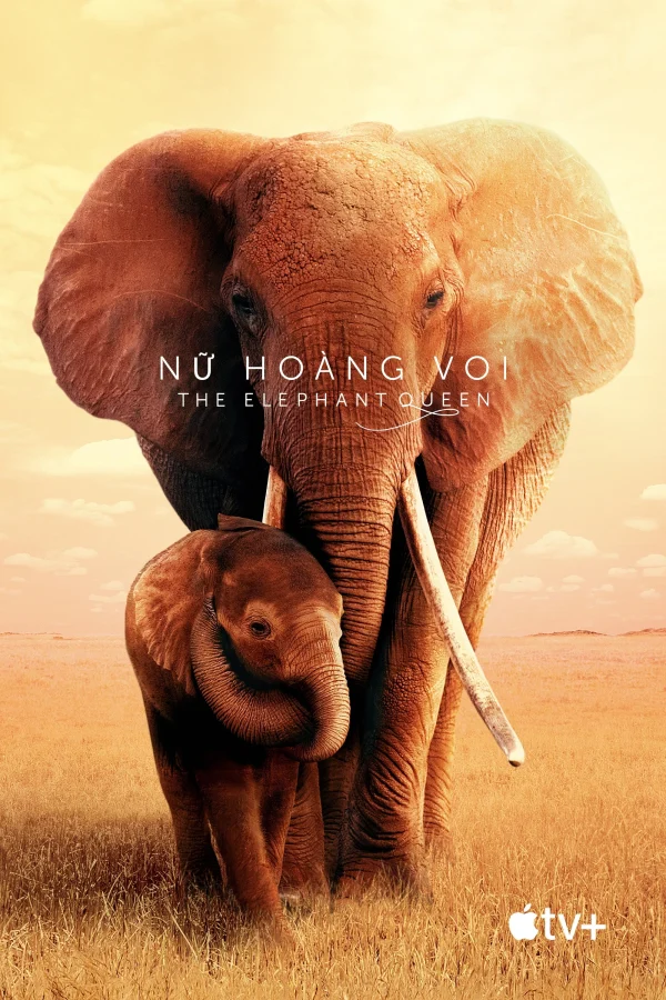 Nữ Hoàng Voi - The Elephant Queen (2019) Nữ Hoàng Voi - The Elephant Queen (2019)