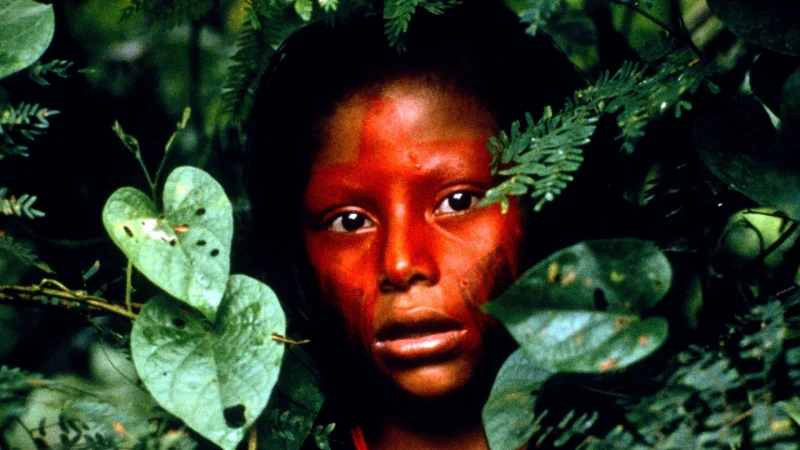 Vô Ngã - Baraka