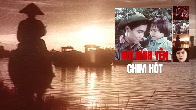 Nơi Bình Yên Chim Hót - A Place Where Peaceful Birds Sing